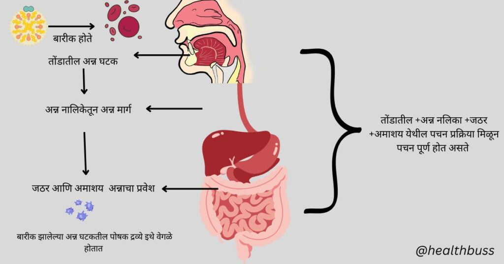 पोटातील गॅस बाकसा तयार होतो ?