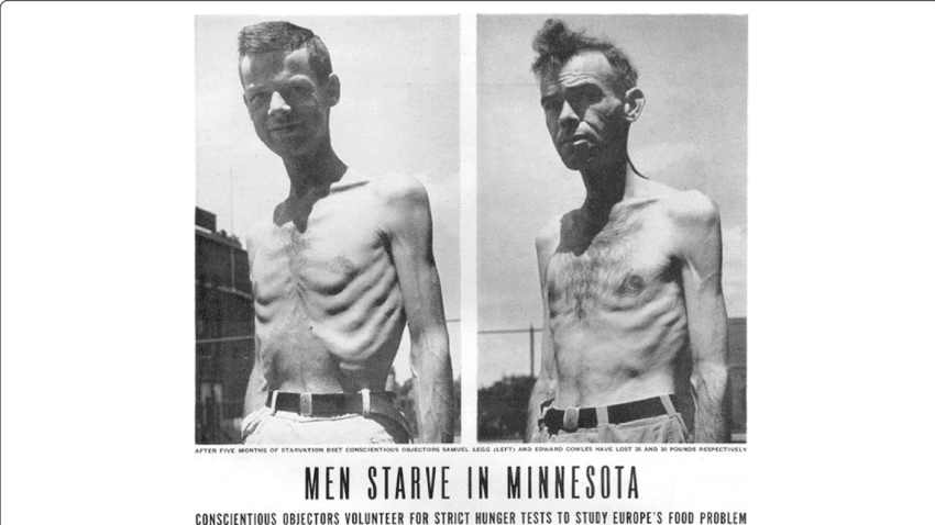 minnesota starvation experiment